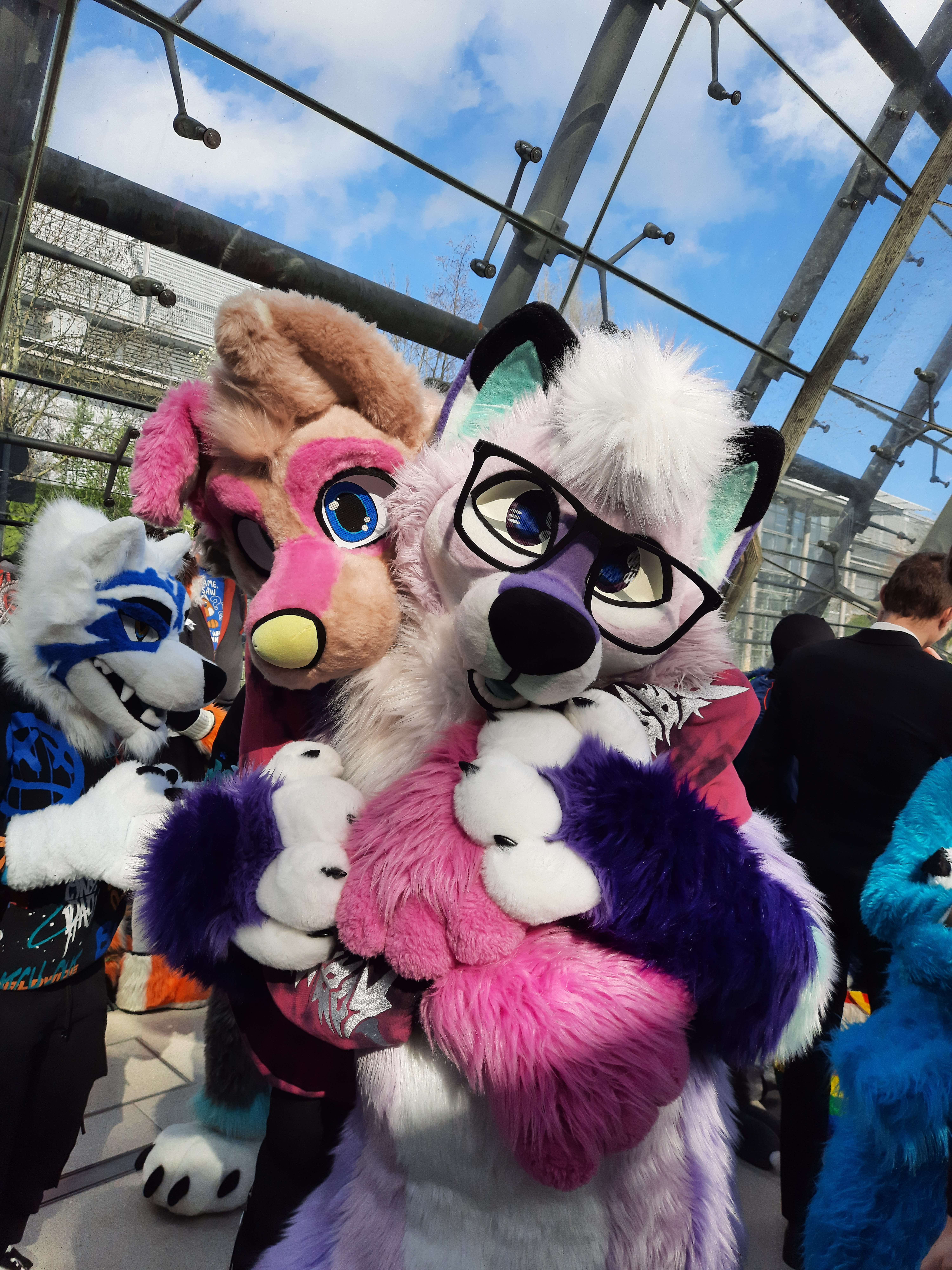 @blushyfox and me