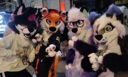 Featured image of post NordicFuzzCon 2024 Photos!