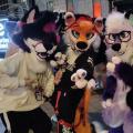 NordicFuzzCon 2024 Photos!