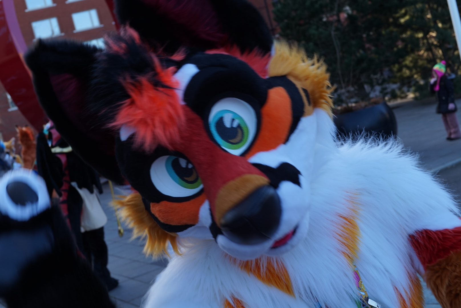 @Comet_Coyote